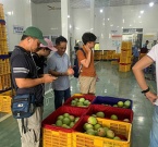 TẬP ĐOÀN WINECO ĐẾN THĂM VÀ LÀM VIỆC TẠI CÔNG TY DT-PRO