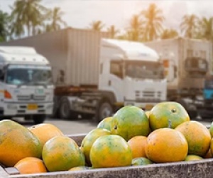 Giao nhận Logistics