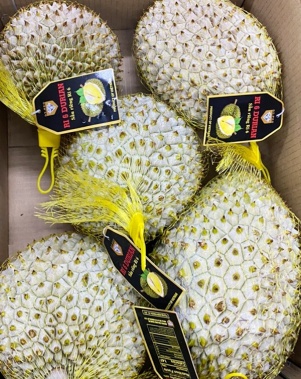 Sầu Riêng Xuất Khẩu