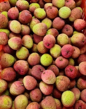 Quả Vải Xuất Khẩu