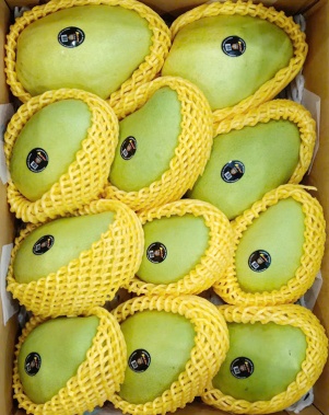 Xoài Tứ Quý Xuất Khẩu