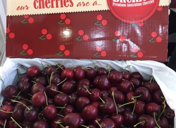 Cherry Mỹ size 9.5